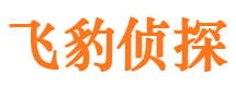 兴县侦探公司